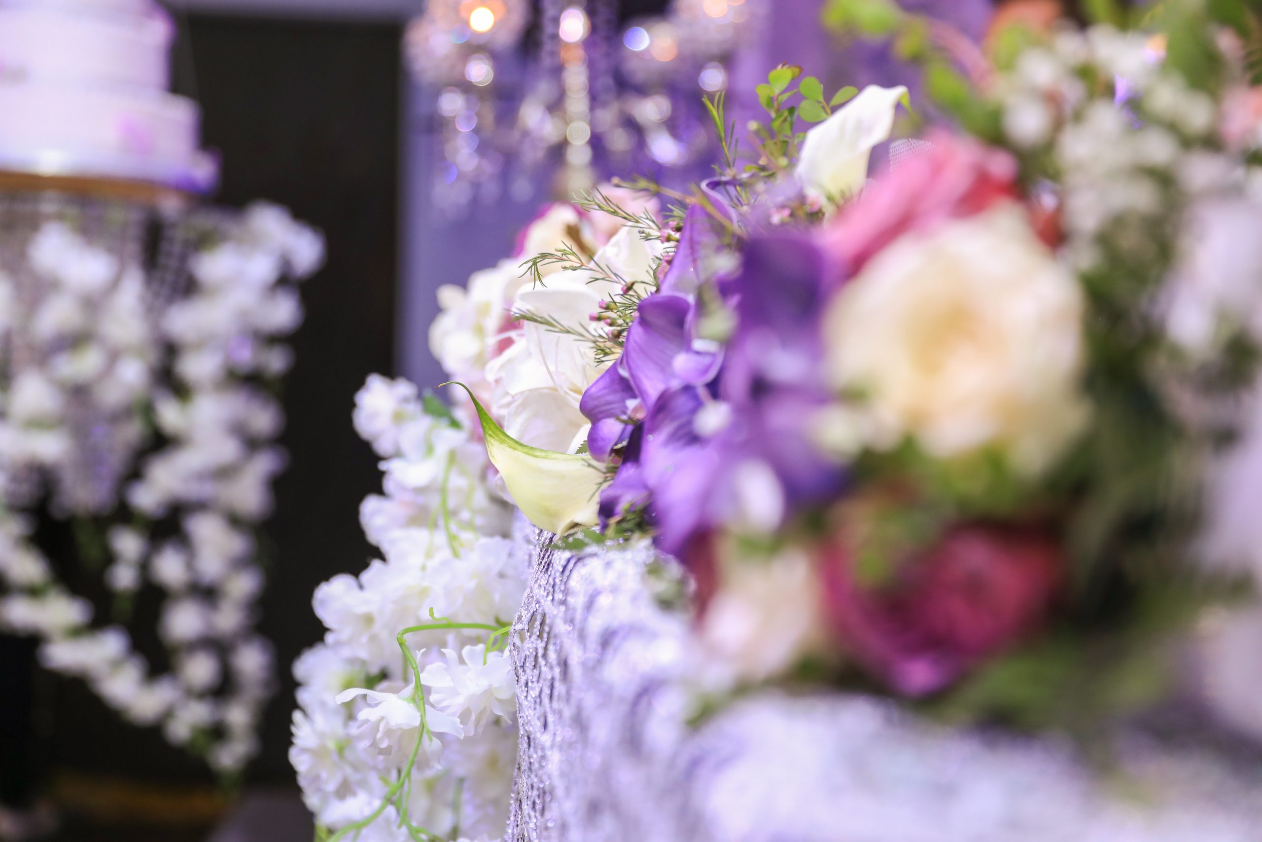 Decoration Purple Decoration Purple