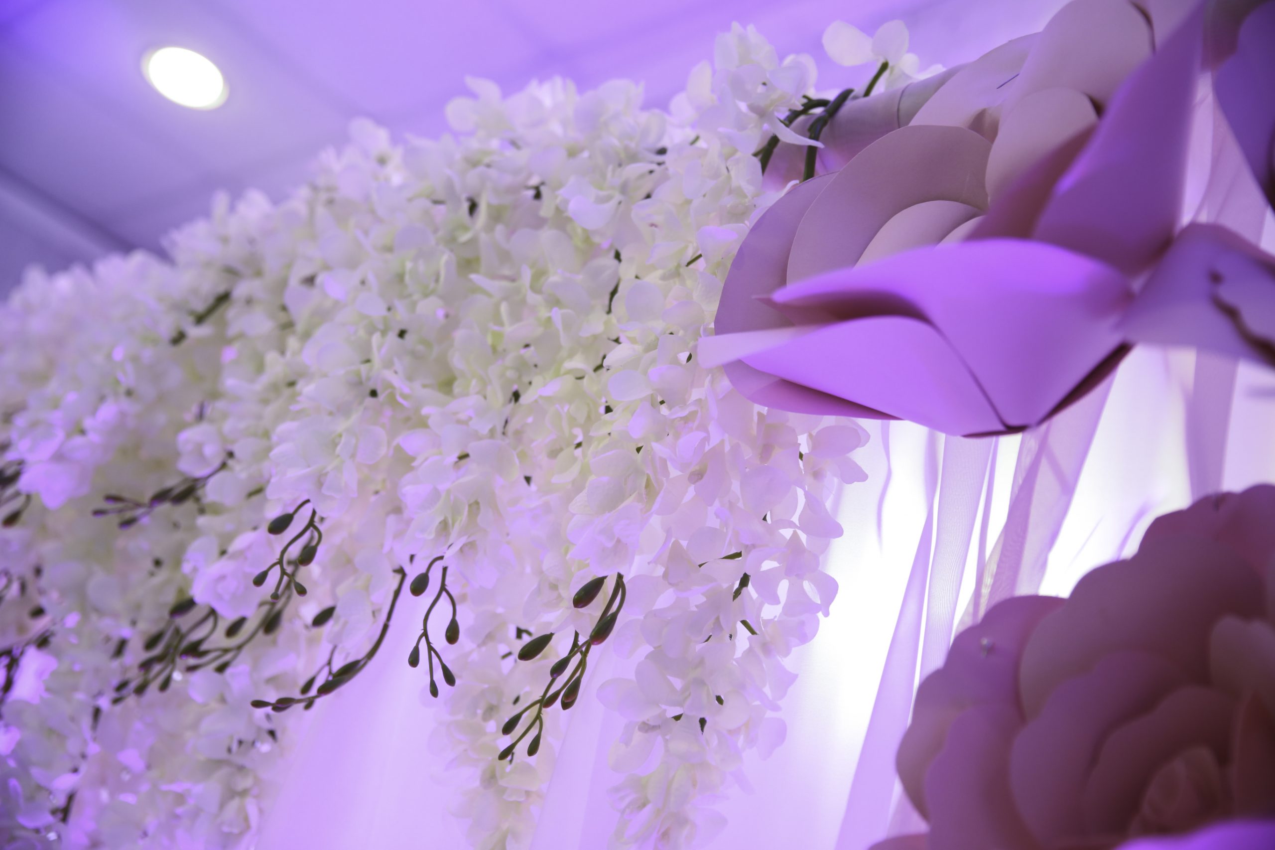 Decoration Pink – Red Decoration Pink – Red